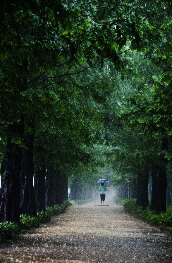 Prize winners - Yoo Hwajeong – A Woman with an Umbrella